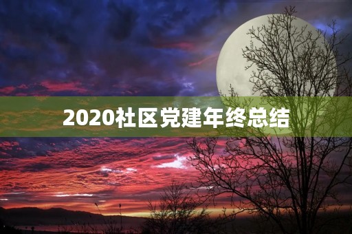 2020社区党建年终总结