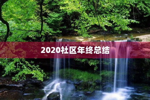 2020社区年终总结