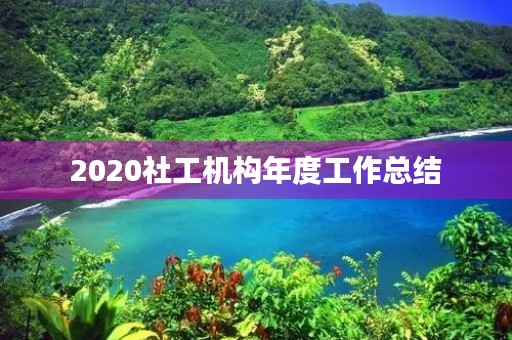 2020社工机构年度工作总结