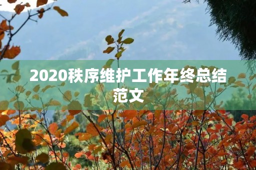 2020秩序维护工作年终总结范文