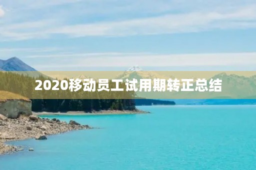2020移动员工试用期转正总结