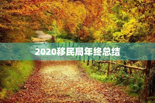 2020**局年终总结 2020**局年终总结