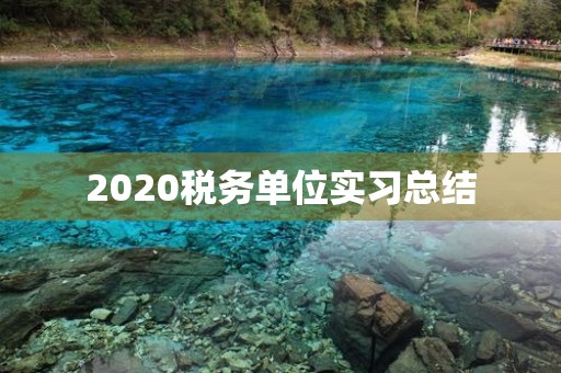 2020税务单位实习总结 2020税务单位实习总结