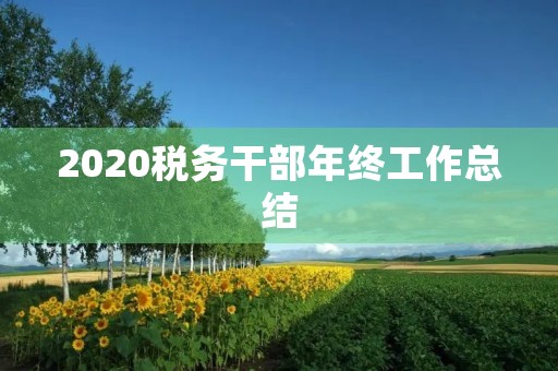 2020税务干部年终工作总结 2020税务干部年终工作总结