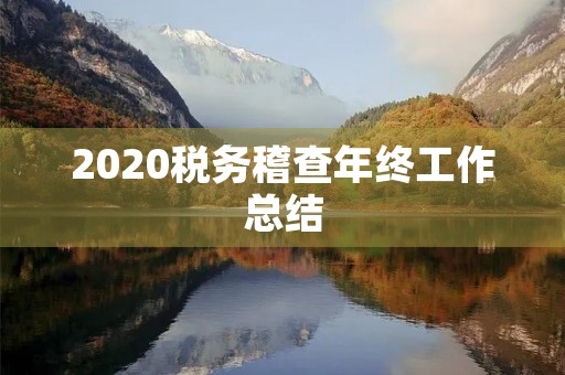2020税务稽查年终工作总结 2020税务稽查年终工作总结