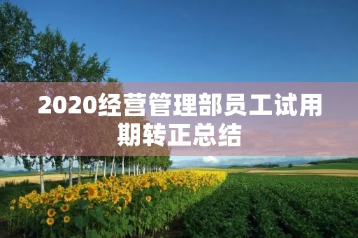 2020经营管理部员工试用期转正总结
