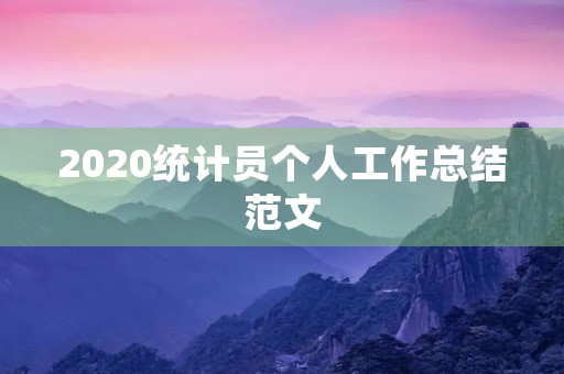 2020统计员个人工作总结范文