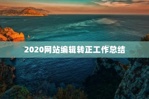 2020网站编辑转正工作总结