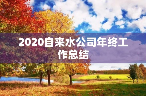 2020自来水公司年终工作总结