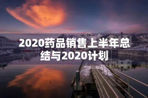 2020药品销售上半年总结与2020计划