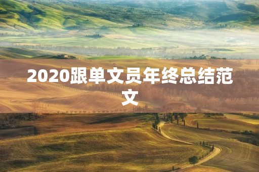 2020跟单文员年终总结范文