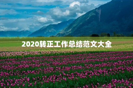 2020转正工作总结范文大全