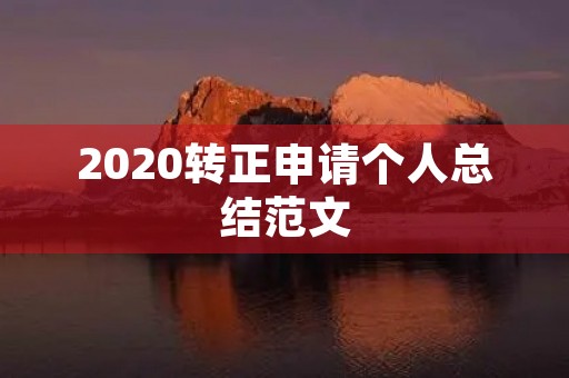 2020转正申请个人总结范文