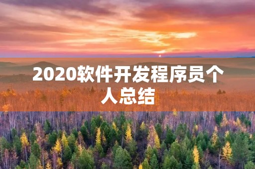 2020软件开发程序员个人总结