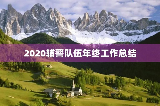 2020辅警队伍年终工作总结