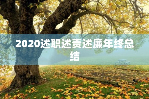 2020述职述责述廉年终总结