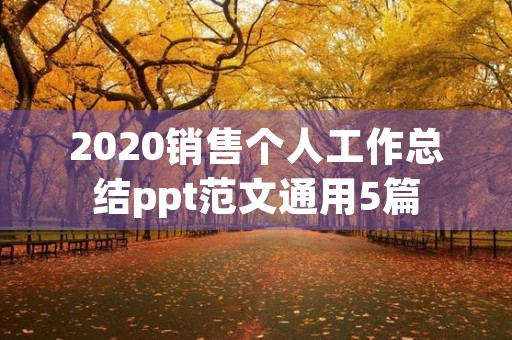 2020销售个人工作总结ppt范文通用5篇