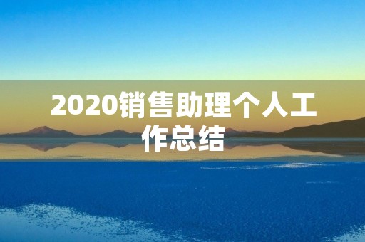 2020销售助理个人工作总结