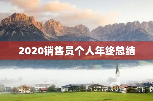2020销售员个人年终总结 2020销售员个人年终总结