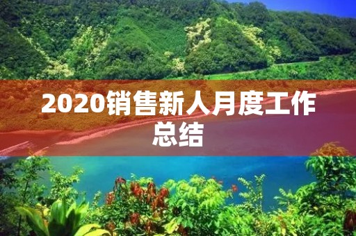2020销售新人月度工作总结