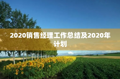 2020销售经理工作总结及2020年计划