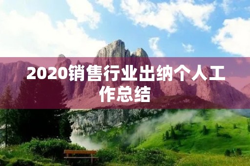 2020销售行业出纳个人工作总结