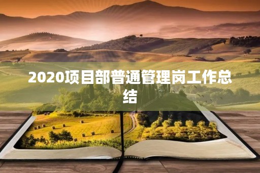 2020项目部普通管理岗工作总结