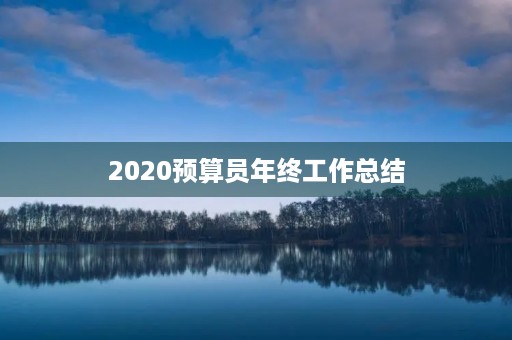 2020预算员年终工作总结