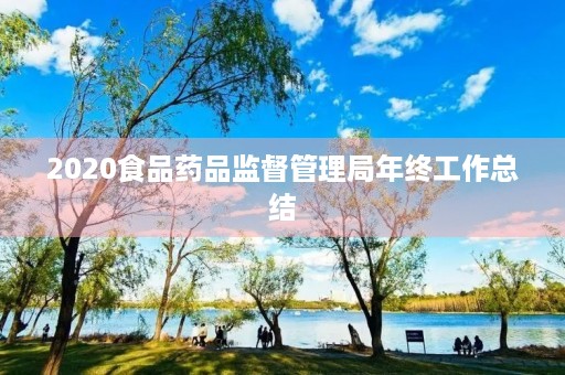 2020食品药品监督管理局年终工作总结