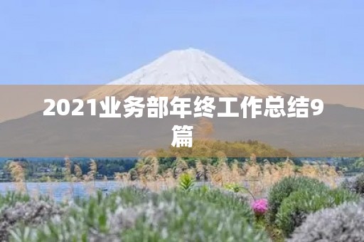 2021业务部年终工作总结9篇