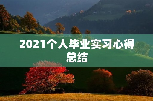 2021个人毕业实习心得总结 2021个人毕业实习心得总结