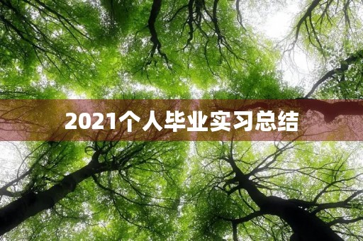 2021个人毕业实习总结