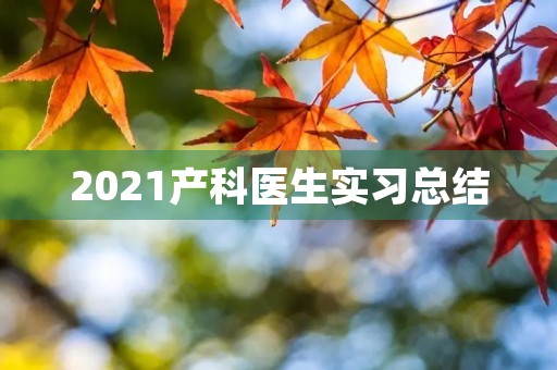 2021产科医生实习总结