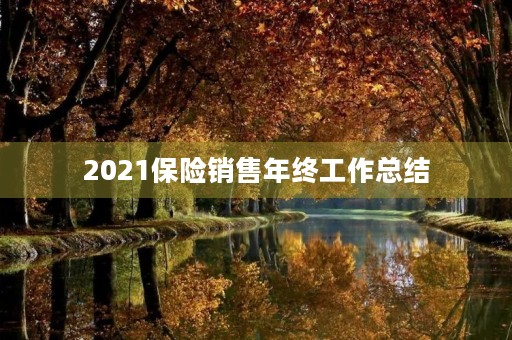 2021保险销售年终工作总结