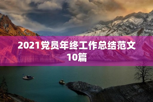 2021党员年终工作总结范文10篇
