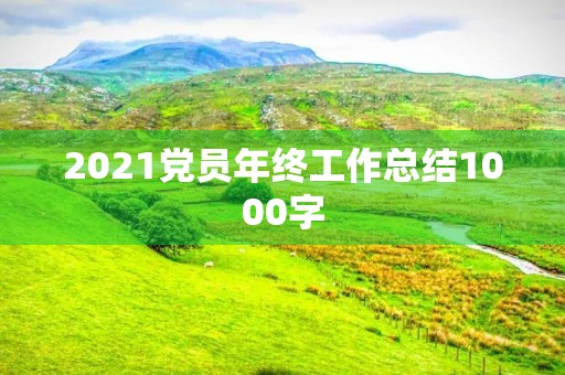 2021党员年终工作总结1000字