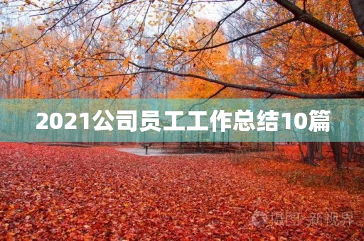 2021公司员工工作总结10篇
