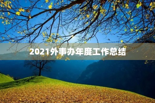2021外事办年度工作总结