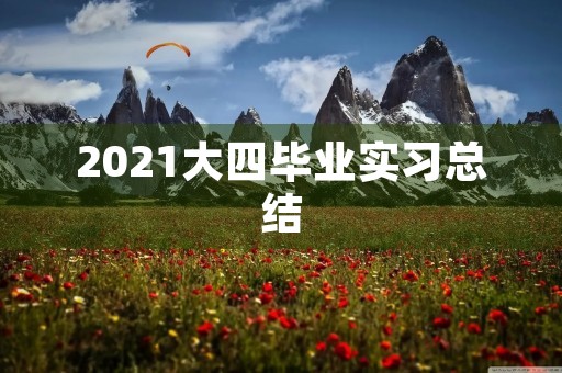 2021大四毕业实习总结