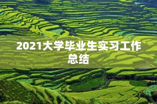 2021大学毕业生实习工作总结 2021大学毕业生实习工作总结