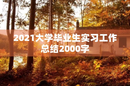 2021大学毕业生实习工作总结2000字