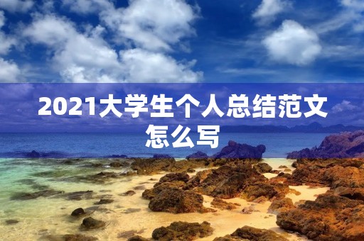 2021大学生个人总结范文怎么写