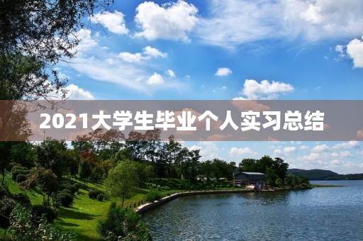 2021大学生毕业个人实习总结 2021大学生毕业个人实习总结