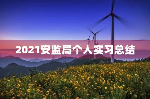 2021安监局个人实习总结 2021安监局个人实习总结