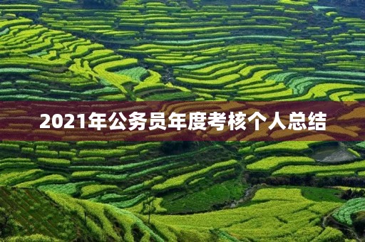 2021年公务员年度考核个人总结 2021年公务员年度考核个人总结