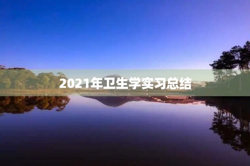2021年卫生学实习总结 2021年卫生学实习总结