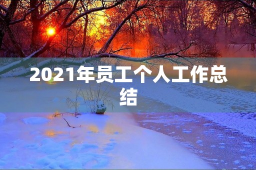 2021年员工个人工作总结