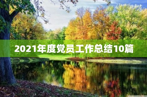 2021年度党员工作总结10篇