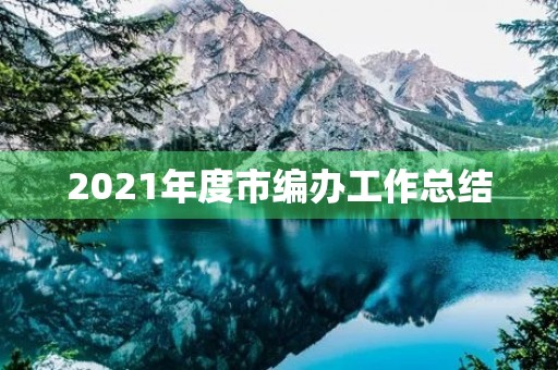 2021年度市编办工作总结 2021年度市编办工作总结