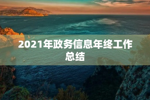 2021年政务信息年终工作总结